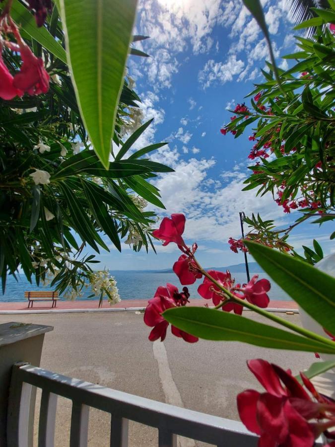 Batis Hotel Livanátai 外观 照片
